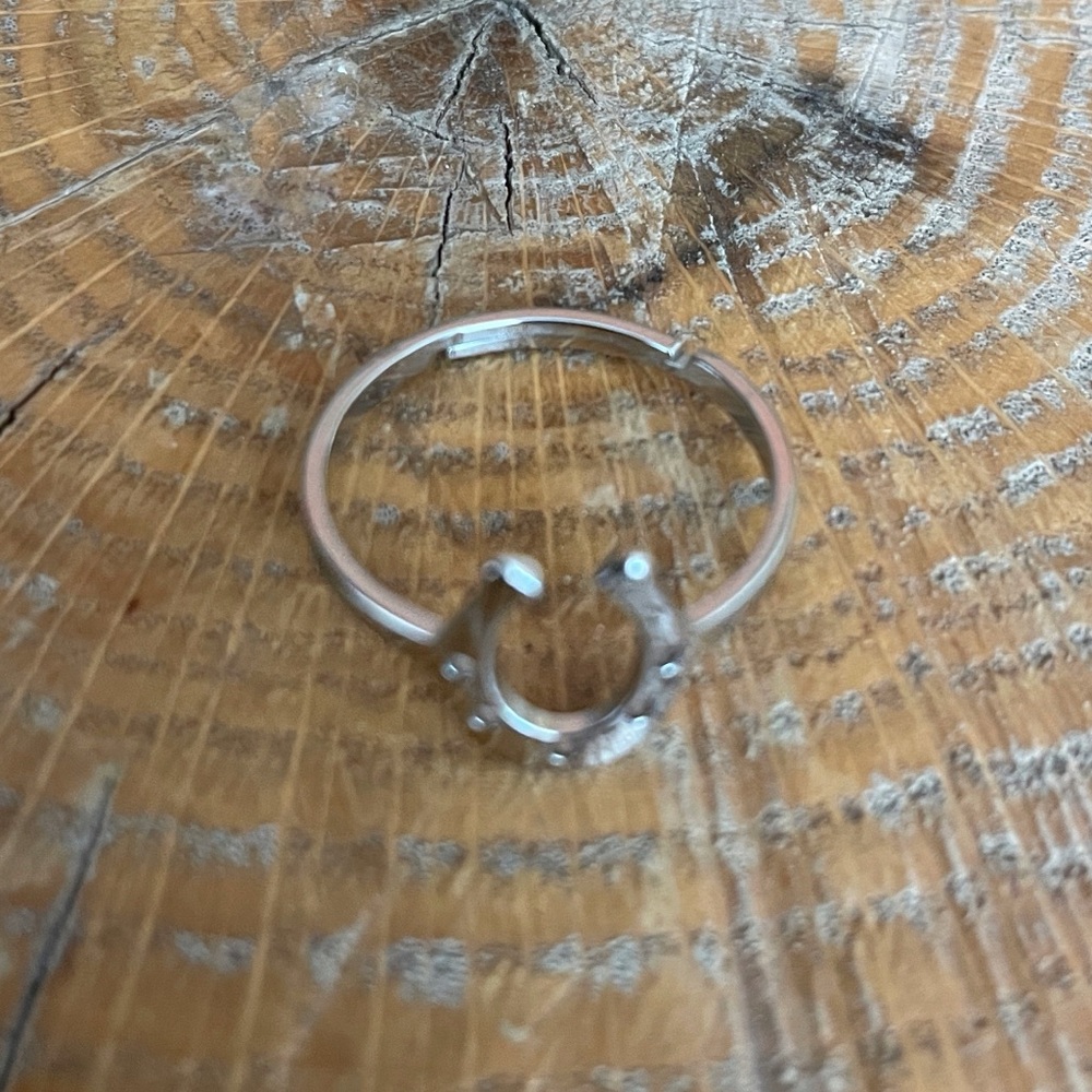 Horseshoe Adjustable Ring - Picture 2 of 3